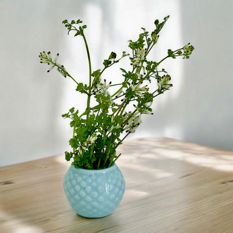FLORERO CRISANTEMO MINI CELESTE
