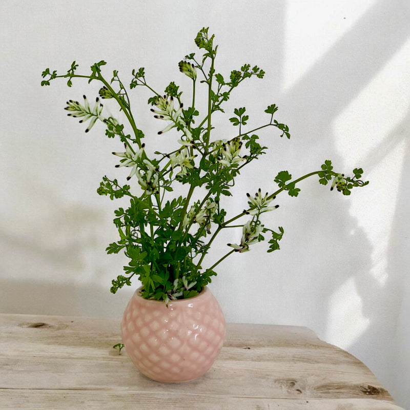 FLORERO CRISANTEMO MINI ROSADO