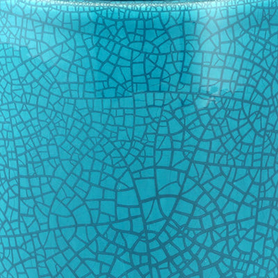 FRASCO RECTANGULAR 1 TAPA COLOR
