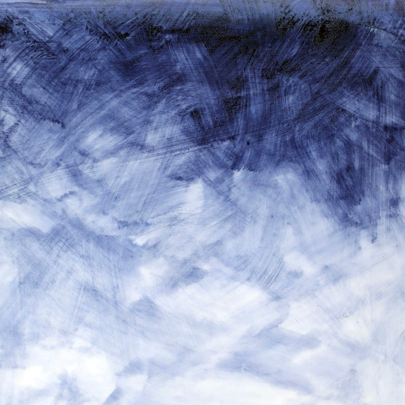 BALLENA SHIBORI
